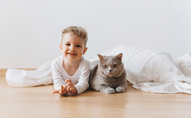 a baby and cat sitting on luxury vinyl baby safe flooring